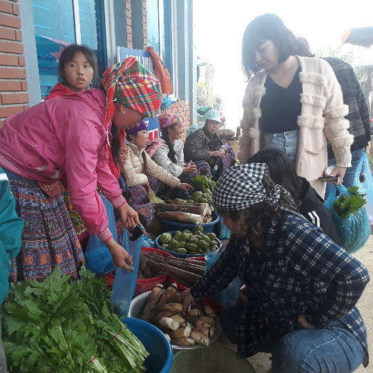 Du khách thích thú mua sản vật núi rừng Sơn La giữa biển mây mù - 8