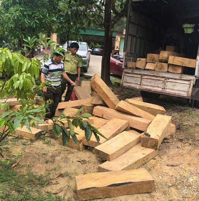 Làm rõ vụ vận chuyển lượng lớn gỗ quý ra Hà Nội tiêu thụ - 2