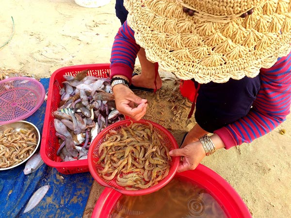1 buổi dễ dàng kiếm 4-5 triệu đồng ở bãi biển "đẹp nhất hành tinh" - 2