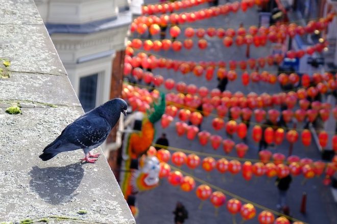 Đánh giá nhanh máy ảnh không gương lật Fujifilm X-T30 - 7