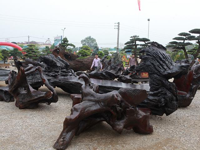 Thị trường - Tiêu dùng - Choáng ngợp bộ bàn ghế bằng gỗ lũa “khủng” nhất Việt Nam