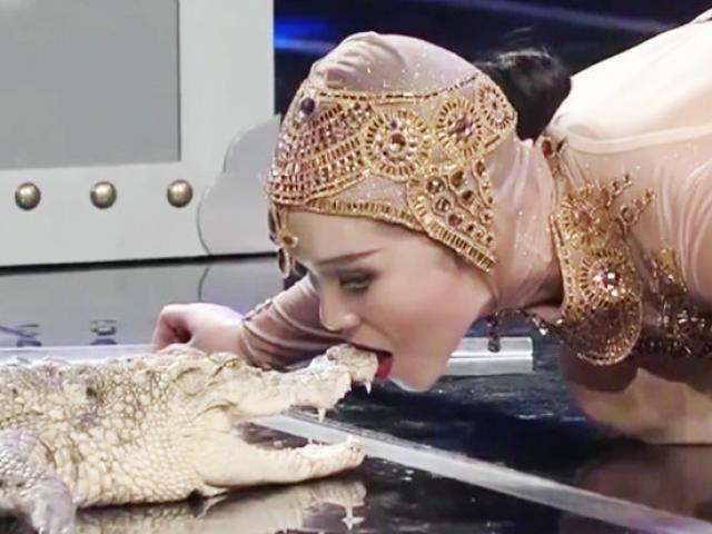 Media - "Toát mồ hôi" xem cô gái dùng miệng "hôn" cá sấu