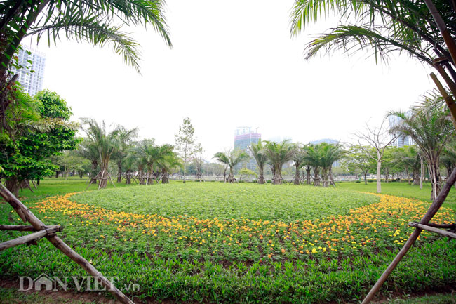 Flycam: Toàn cảnh Công viên Cầu Giấy bị đề xuất xén làm bãi đỗ xe - 7