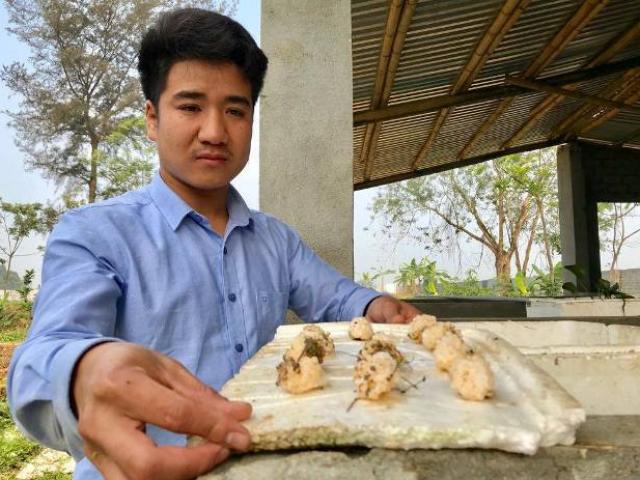 Thị trường - Tiêu dùng - Hotboy 9X nuôi con "siêu đẻ" chỉ ăn bèo, lá cây mà kiếm 300 triệu/năm