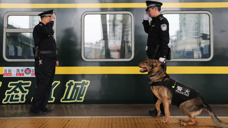 TQ nhân bản thành công chó nghiệp vụ &#34;Sherlock Homles&#34; nổi tiếng - 1