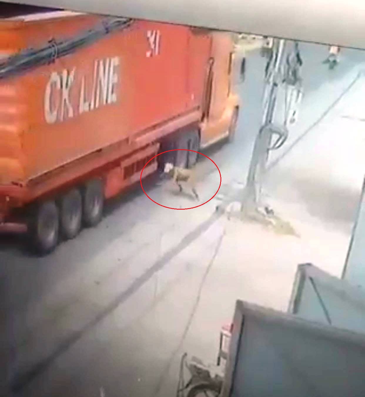 “Đứng tim” clip người đàn ông lao đầu vào gầm xe container ở Sài Gòn - 1