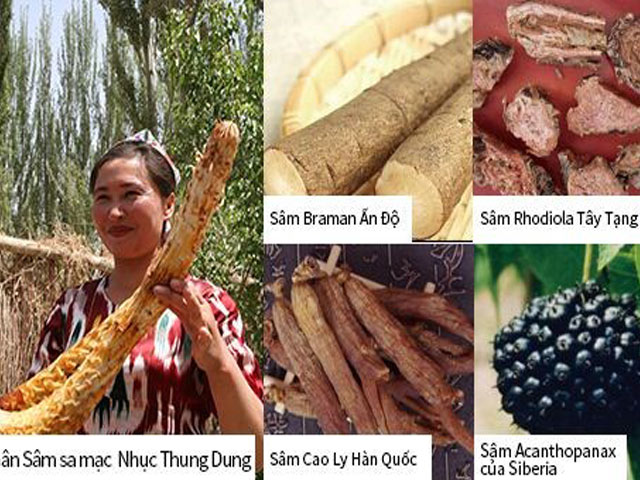 Tin tức sức khỏe - Tìm lại bản lĩnh đàn ông từ 5 loại nhân sâm Nhật Bản