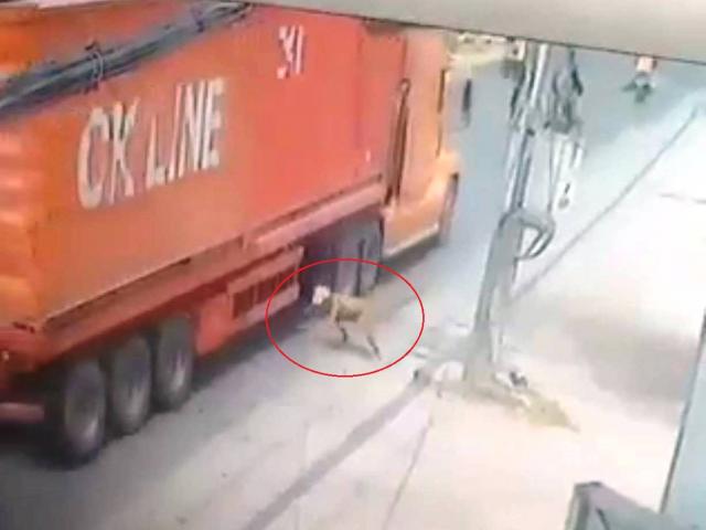 Tin tức trong ngày - Nóng 24h qua: Tài xế container bật khóc khi thấy người đàn ông lao đầu vào xe vẫn... sống