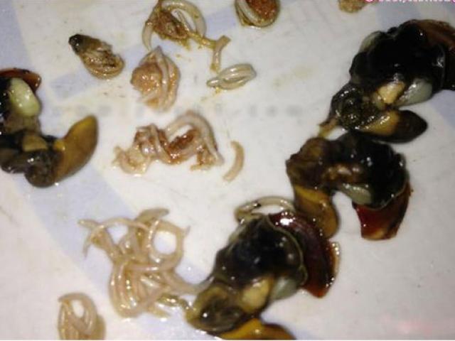 Ẩm thực - Ốc tuy ngon, bổ dưỡng nhưng sẽ rất nguy hại nếu ăn theo cách này