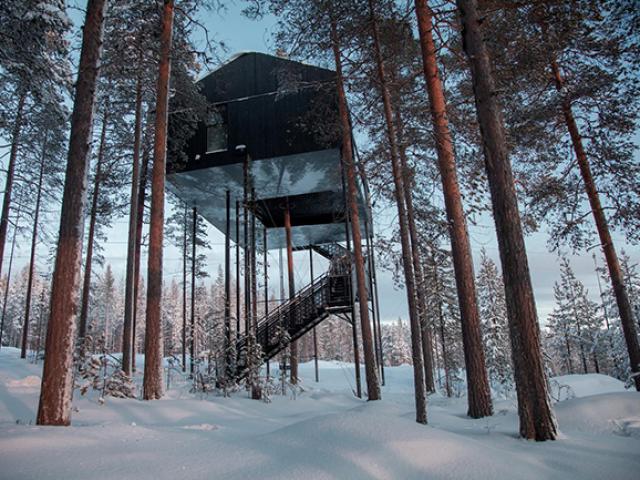 Bất động sản - Báo Tây trầm trồ với căn nhà kính "treo lơ lửng" giữa rừng cây