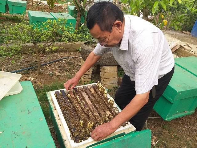 Chăm chỉ nuôi con đốt đau điếng, U80 thu tiền tỷ mỗi năm - 1