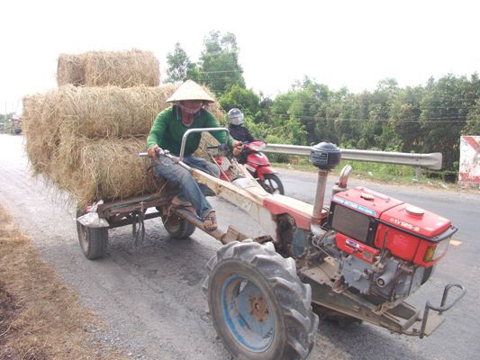 Rơm “đắt xắt ra miếng”, nông dân thu tiền triệu mỗi ngày - 2