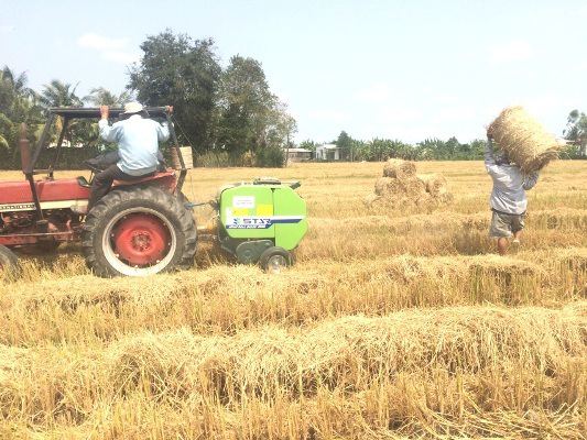 Rơm “đắt xắt ra miếng”, nông dân thu tiền triệu mỗi ngày - 3