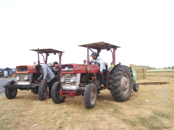 Rơm “đắt xắt ra miếng”, nông dân thu tiền triệu mỗi ngày - 5