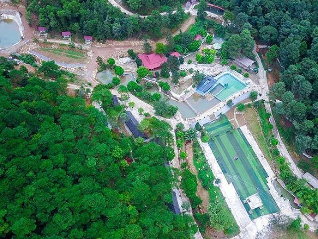 Kinh doanh - Tàn phá rừng Sóc Sơn: Những ai phải chịu trách nhiệm?