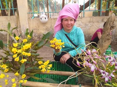 Sơn La: Lan rừng bung hoa xuống phố, khách mua ào ào - 1