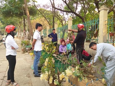 Sơn La: Lan rừng bung hoa xuống phố, khách mua ào ào - 3