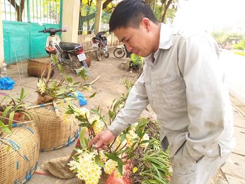 Sơn La: Lan rừng bung hoa xuống phố, khách mua ào ào - 4