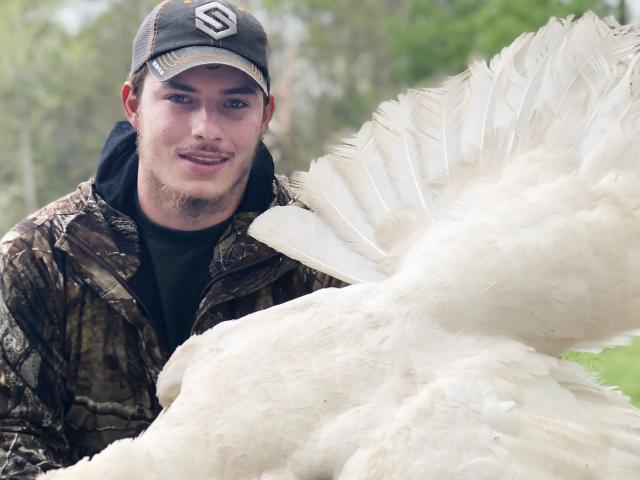 Chuyện lạ - Bắn chết gà tây lông trắng cực kỳ hiếm ở Mỹ