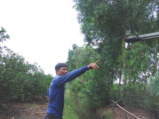 Chuyện lạ: Giá chanh tăng nóng, cắn răng lắp “mắt thần” chống trộm - 1