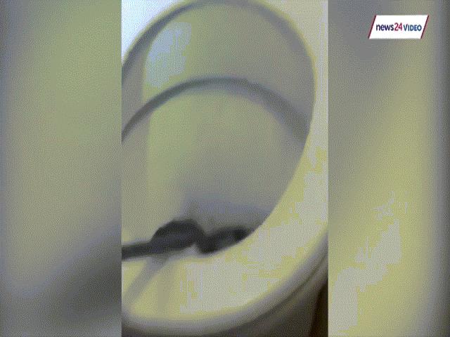Video: Đi toilet xong, không ngờ phát hiện “tử thần” nấp bên dưới