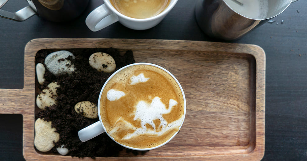 Loại “vàng trắng” tỷ đô giàu dinh dưỡng tới từ sa mạc - 1