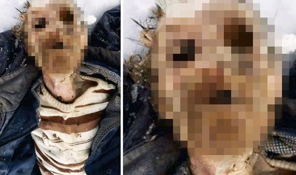 Nga: Tìm thấy xác ướp người đàn ông mất tích trong hang gấu nâu - 1