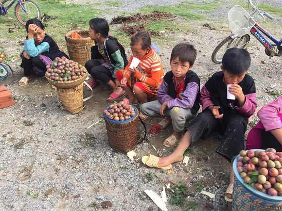 Mận trái mùa quả bé tí, chua loét, bán từng lạng vẫn tranh nhau mua - 1