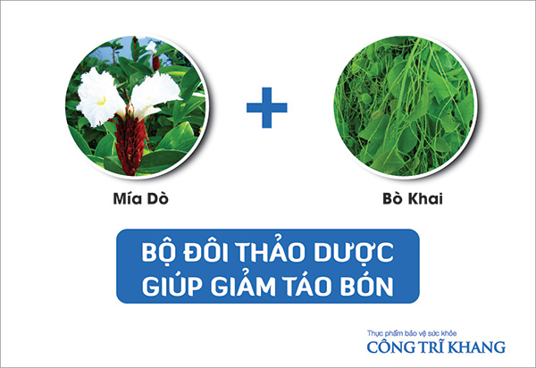Bệnh trĩ lâu ngày: uống ngay 4 cây này để giảm đau rát, chảy máu, co búi trĩ - 1