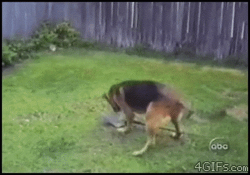 Cười nắc nẻ với những khoảnh khắc "éo le" trong cuộc sống - 3