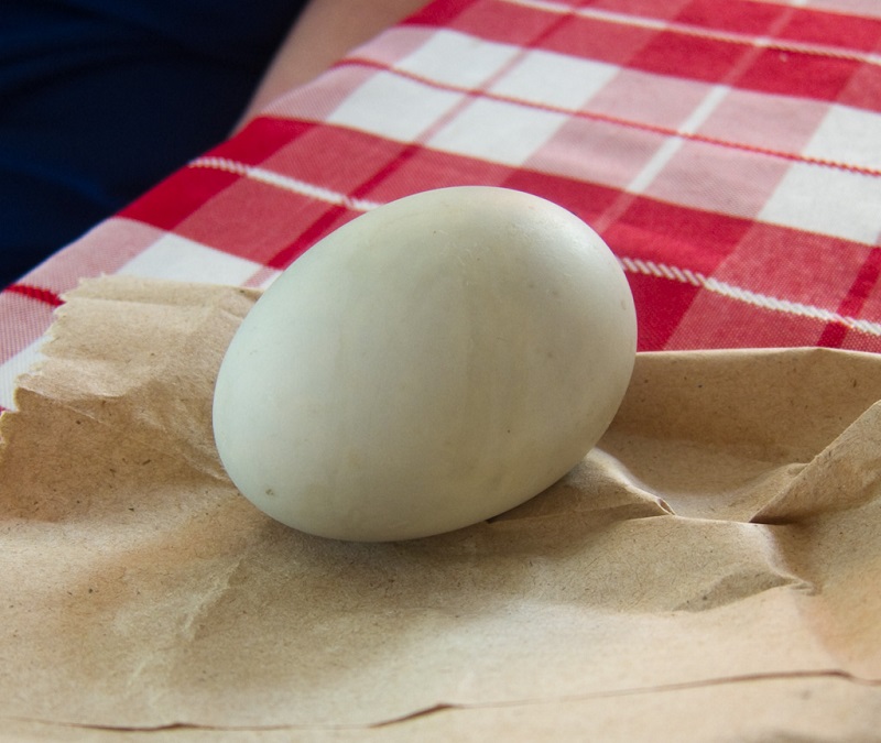 10 lý do chứng minh trứng vịt lộn là món ăn du khách muốn nếm thử nhất khi đến châu Á - 1
