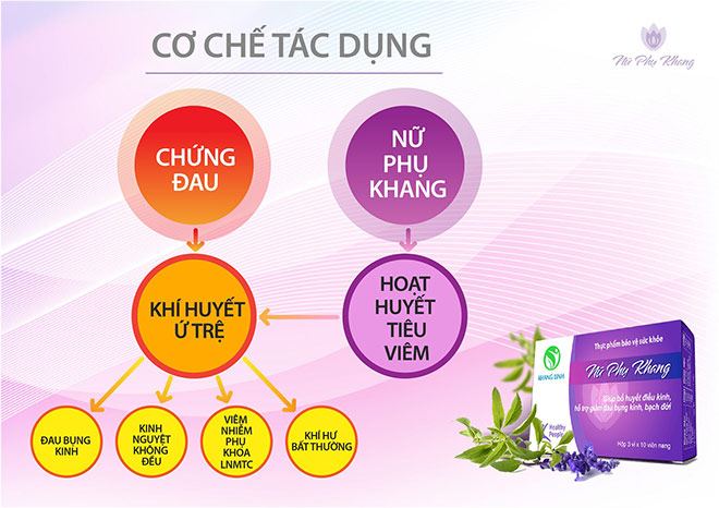 Tìm hiểu về Khí hư bạch đới theo Y học cổ truyền - 4