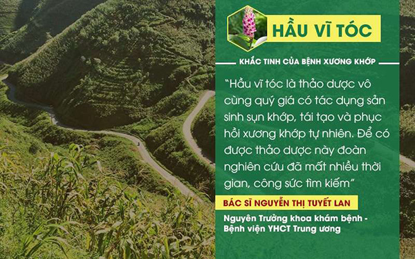 Hoạt huyết Phục cốt hoàn: Từ bài thuốc bí truyền đến bước đột phá loại bỏ bệnh xương khớp - 2