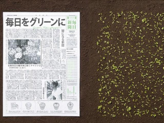 Du lịch - Giúp hồi sinh trái đất từ những hành động nhỏ mà thiết thực này