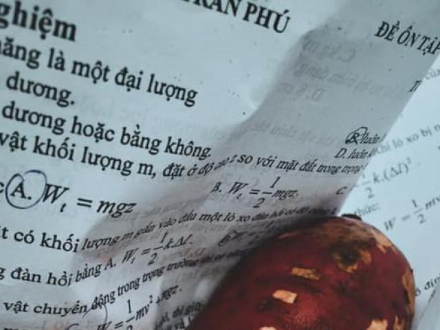 Giáo dục - du học - Đi thi "lệch tủ", nữ sinh lấy đề cương nướng khoai lang