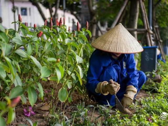 Tin tức trong ngày - Ngậm ngùi nhìn công nhân công ty cây xanh khắc phục hậu quả sau Countdown 2020