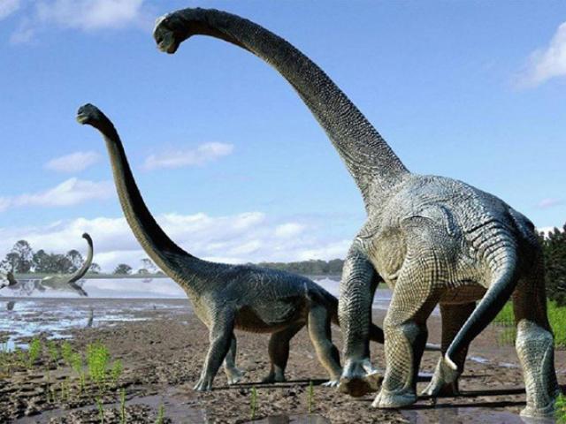 Du lịch - Không ai nghĩ rằng nơi khắc nghiệt này từng là nơi sinh sống của khủng long trước đây