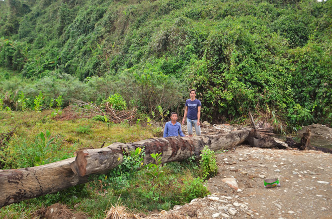 Cận cảnh khối gỗ “khủng”
