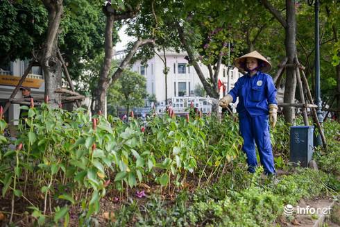Nhiều cây hoa vừa được trồng phút chốc đã dập nát tả tơi, vườn hoa như một bãi chiến trường chờ người thu dọn.