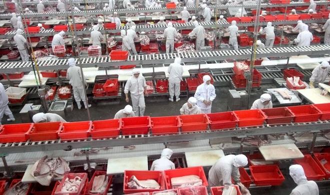 Công nhân làm việc tại nhà máy xử lý và chế biến thịt.