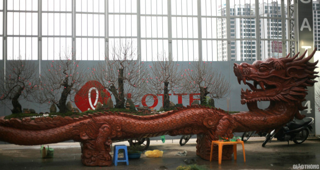 Mới đây, trên đường Lạc Long Quân (Hà Nội), nơi các nhà vườn bày bán đủ các loại cây phục vụ cho dịp Tết Canh Tý 2020 xuất hiện một chậu đào khủng hình rồng đã thu hút sự chú ý của nhiều người.