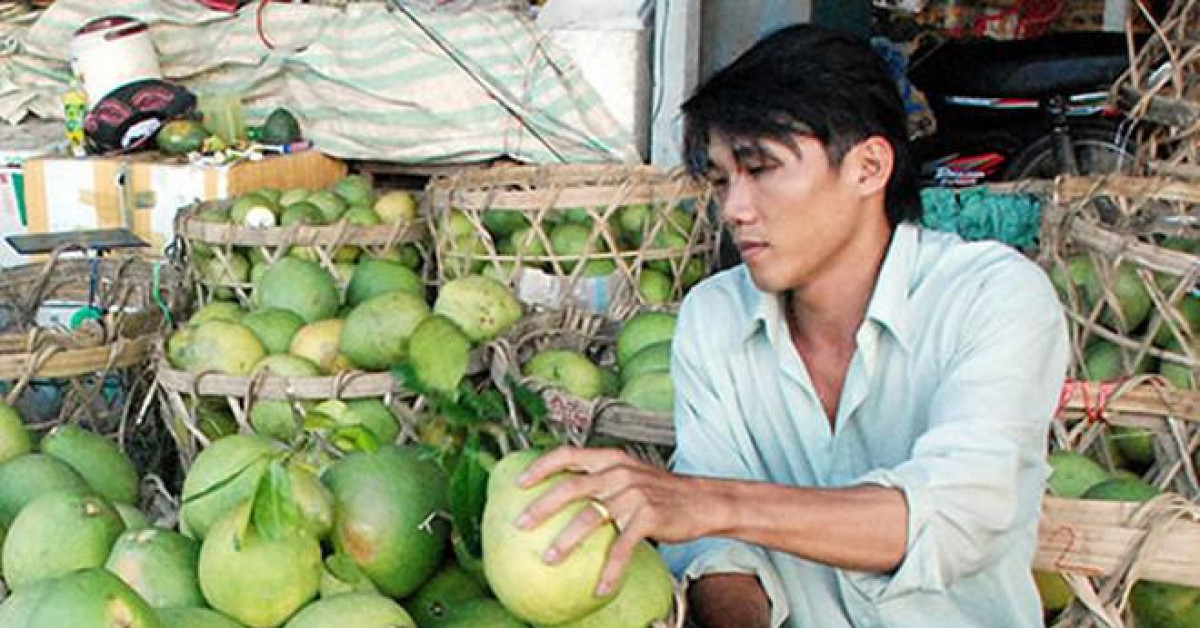 Thị trường - Tiêu dùng - Chưa đến Tết, hàng loạt trái cây đã tăng giá mạnh