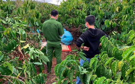 24 giờ truy bắt hung thủ sát hại bạn tình giấu xác trong rẫy cà phê - 3