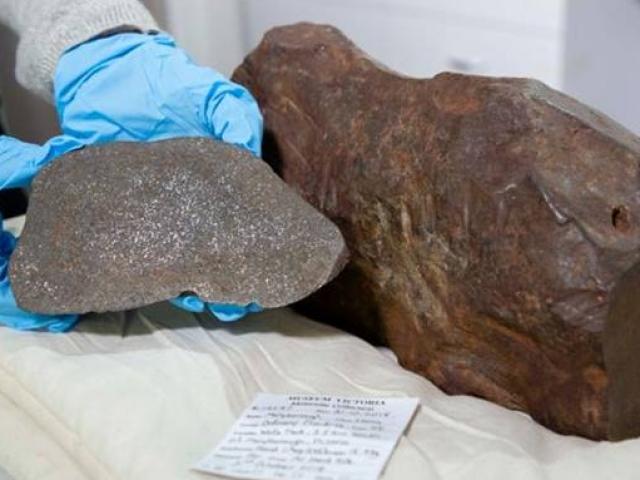 Kinh doanh - Tìm được khối lạ ngỡ là vàng, hóa ra thứ quý hiếm có thể đổi lấy "núi tiền"