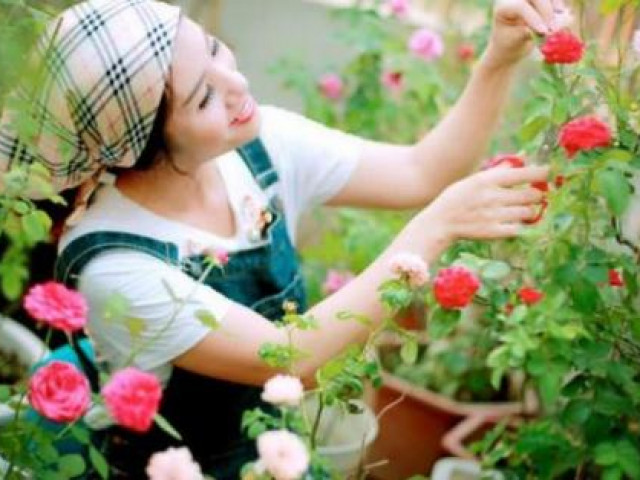 Bạn trẻ - Cuộc sống - Sân thượng rộn ràng hương sắc hoa hồng, vạn người mơ ước của mẹ đảm xinh đẹp