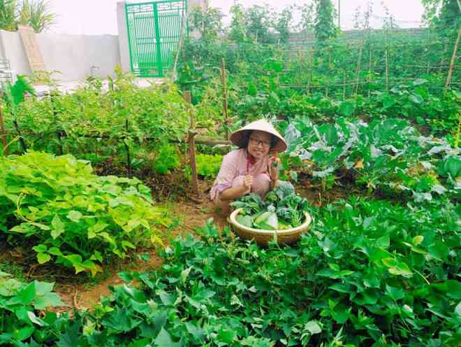 Bỏ phố về quê, mâm cơm thanh đạm của mẹ trẻ khiến chị em thích thú - 1