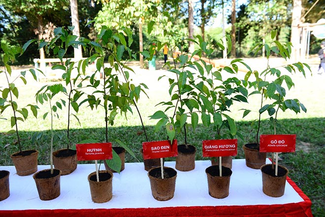 Các giống cây quý hiếm được trao tặng là những giống cây phù hợp với hệ sinh thái của từng VQG như Cây Sưa, Cây Huỳnh,… tại VQG Phong Nha - Kẻ Bàng, Gỗ Đỏ, Giáng Hương, … tại VQG Cát Tiên.