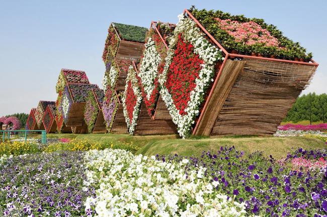 Bên trong vườn hoa lớn nhất thế giới nằm giữa sa mạc có gì đặc biệt? - 9