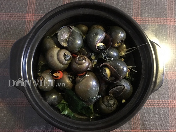 Ốc luộc&nbsp;được anh Nhân chế biến rất cầu kỳ để đón khách quý đến thăm nhà.