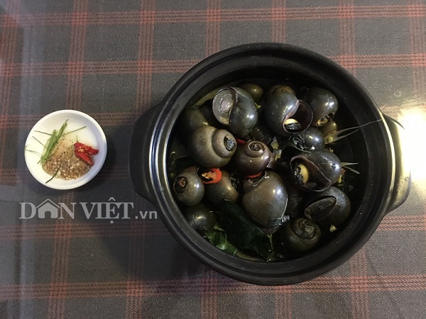 &nbsp;Đối với thực khách đam mê ẩm thực dân dã, ốc bươu vàng trở thành 1 món ăn đặc sản rất thơm ngon.